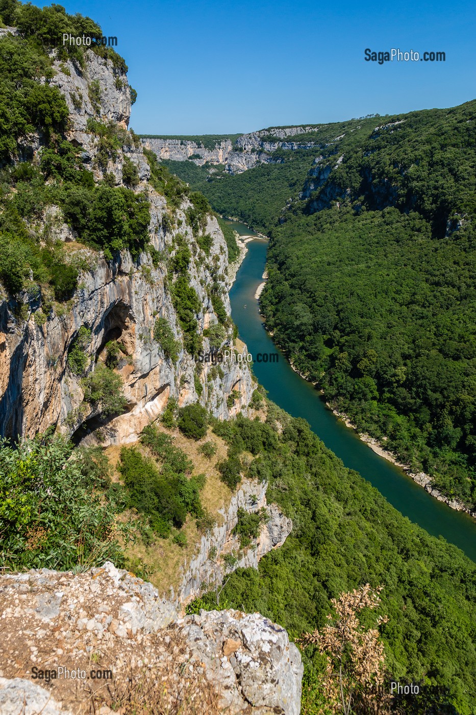 RESERVE NATURELLE DES GORGES DE L'ARDECHE, ARDECHE (07), RHONE ALPES, FRANCE 