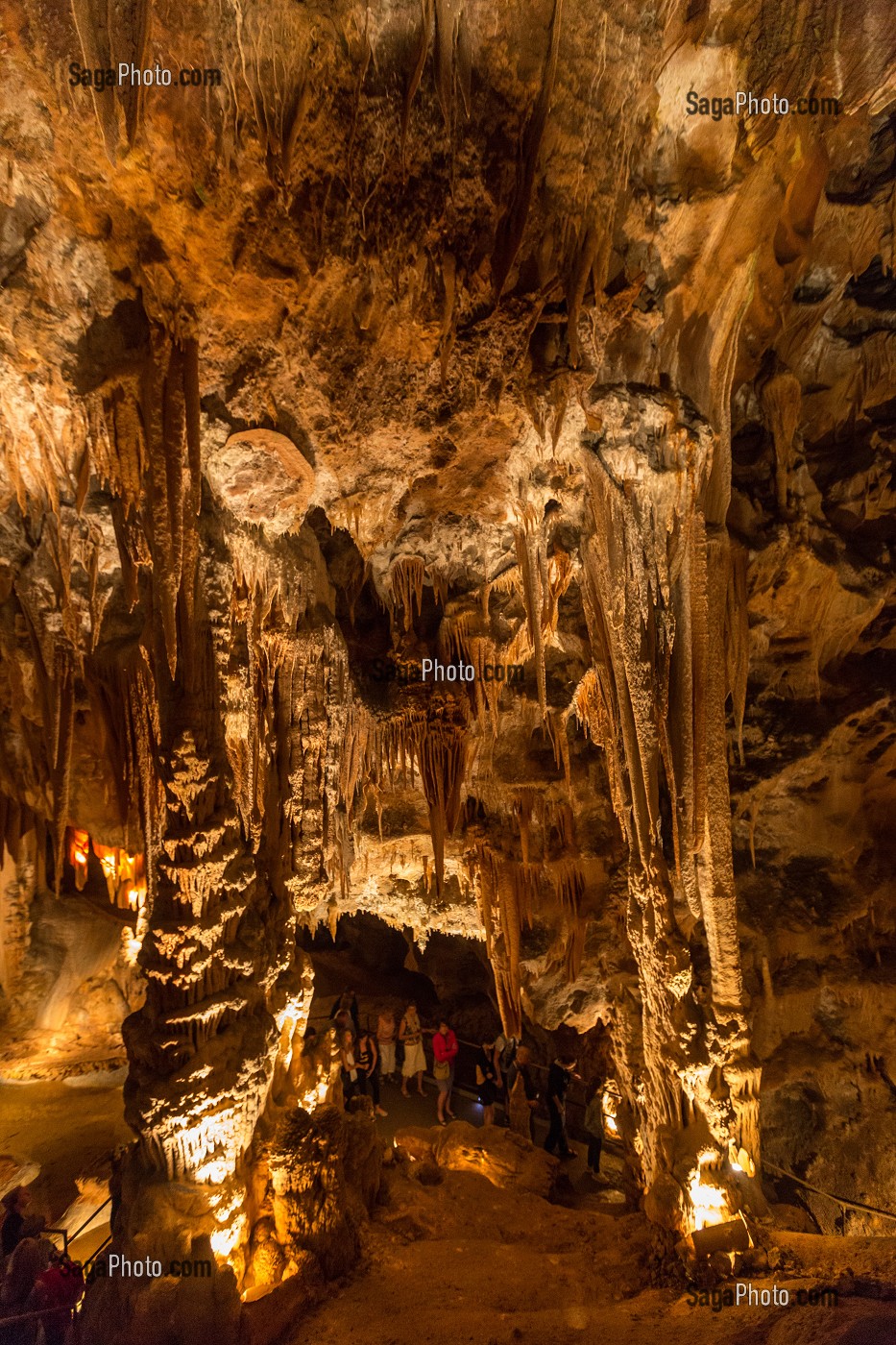 RESERVE NATURELLE DES GORGES DE L'ARDECHE, ARDECHE (07), RHONE ALPES, FRANCE 