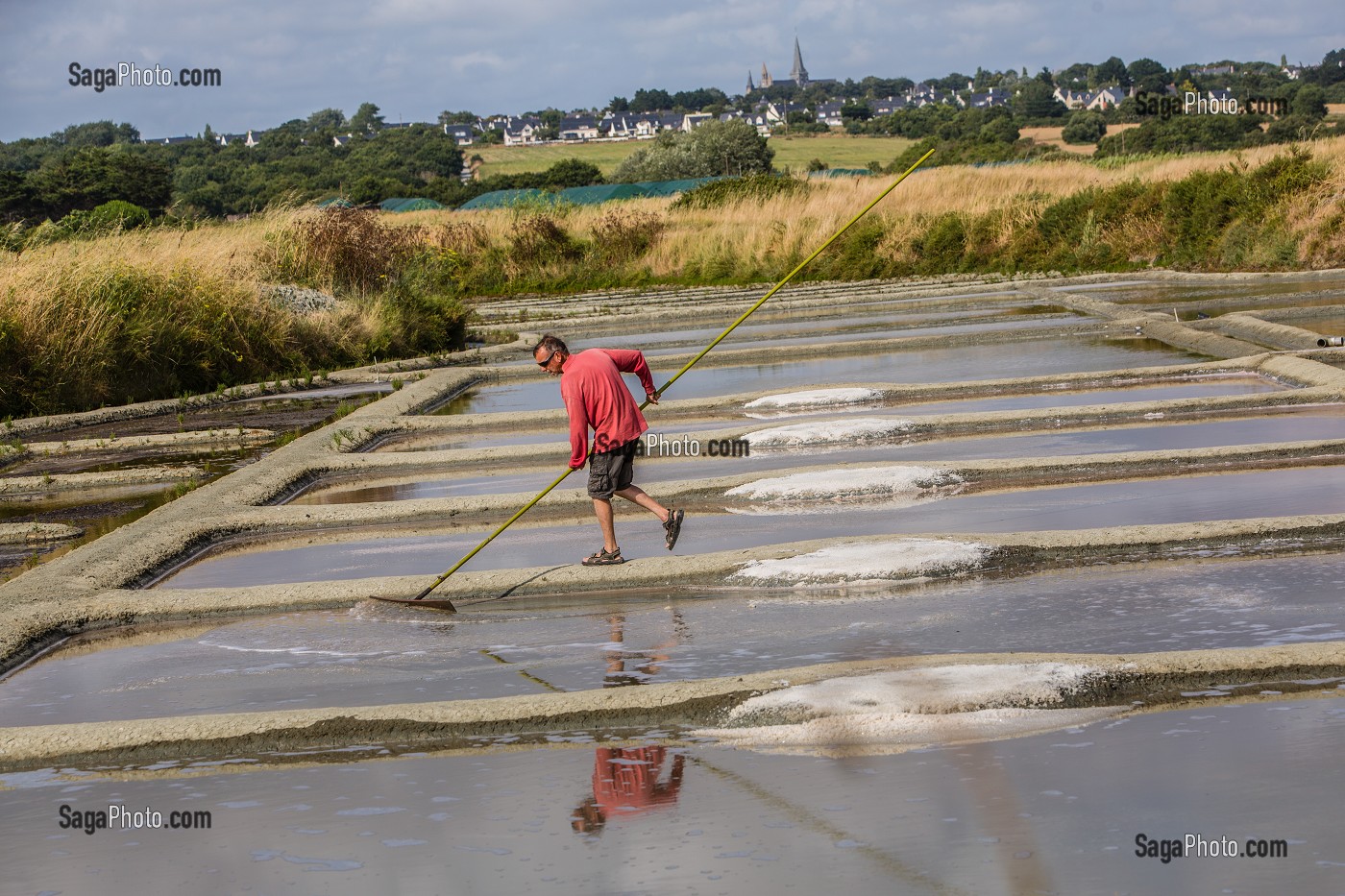 LES MARAIS SALANTS DE GUERANDE, (44) LOIRE ATLANTIQUE, PAYS DE LOIRE, FRANCE 