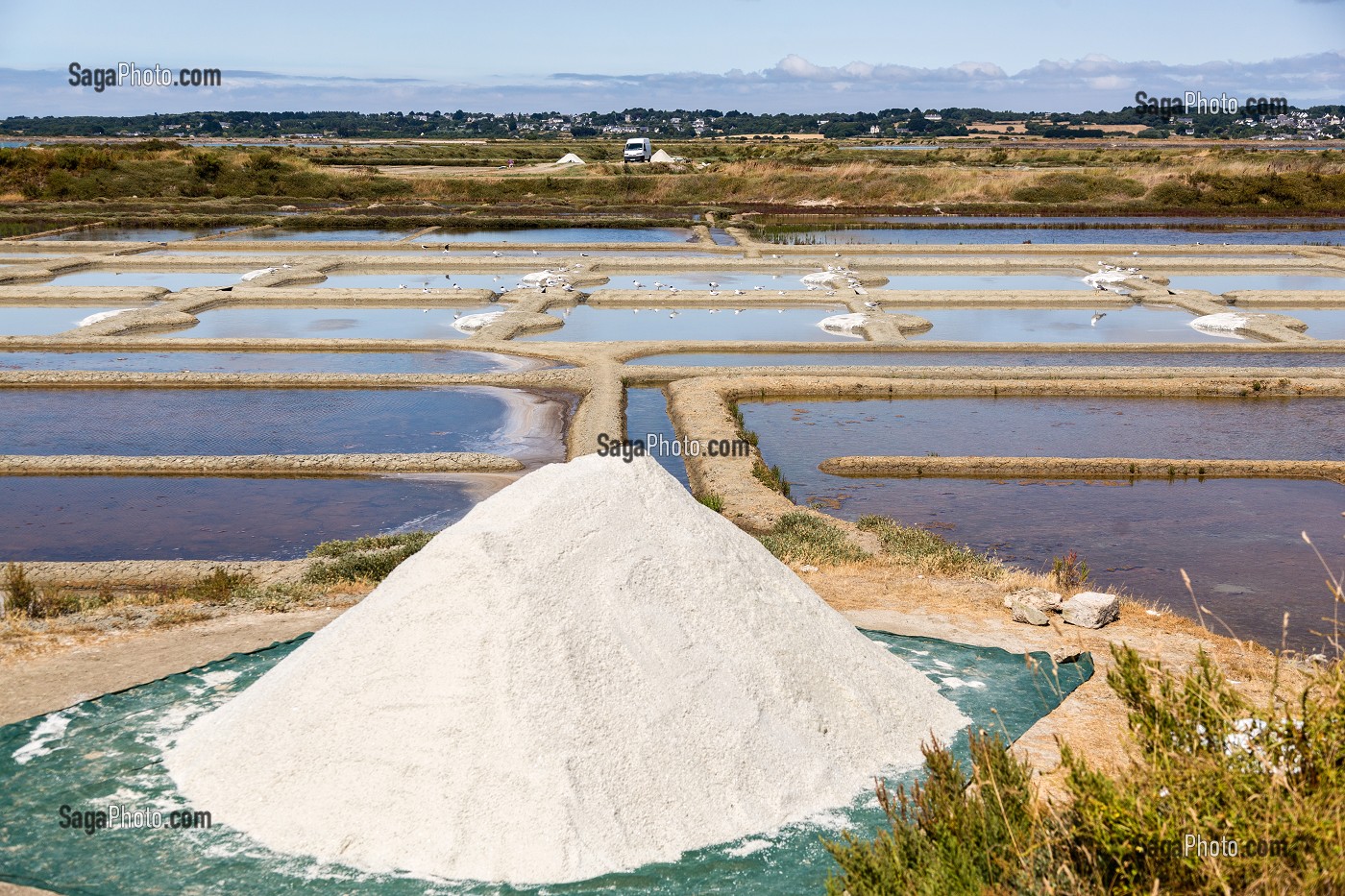 LES MARAIS SALANTS DE GUERANDE, (44) LOIRE ATLANTIQUE, PAYS DE LOIRE, FRANCE 