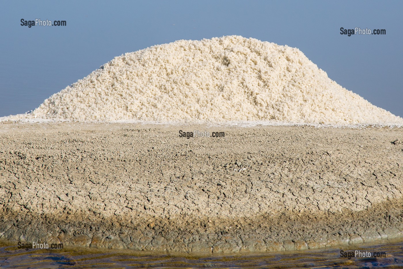 LES MARAIS SALANTS DE GUERANDE, (44) LOIRE ATLANTIQUE, PAYS DE LOIRE, FRANCE 