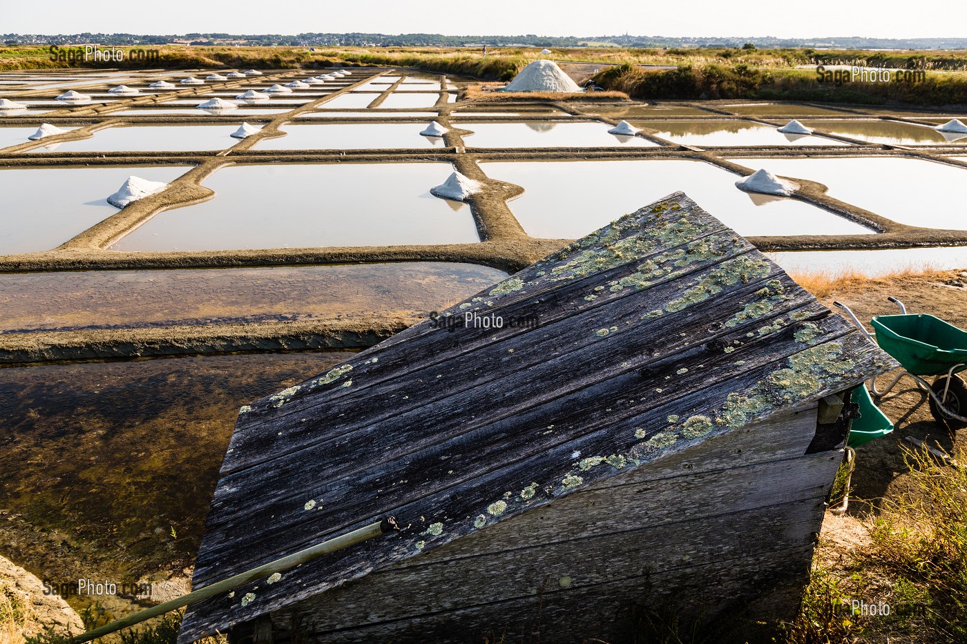 LES MARAIS SALANTS DE GUERANDE, (44) LOIRE ATLANTIQUE, PAYS DE LOIRE, FRANCE 