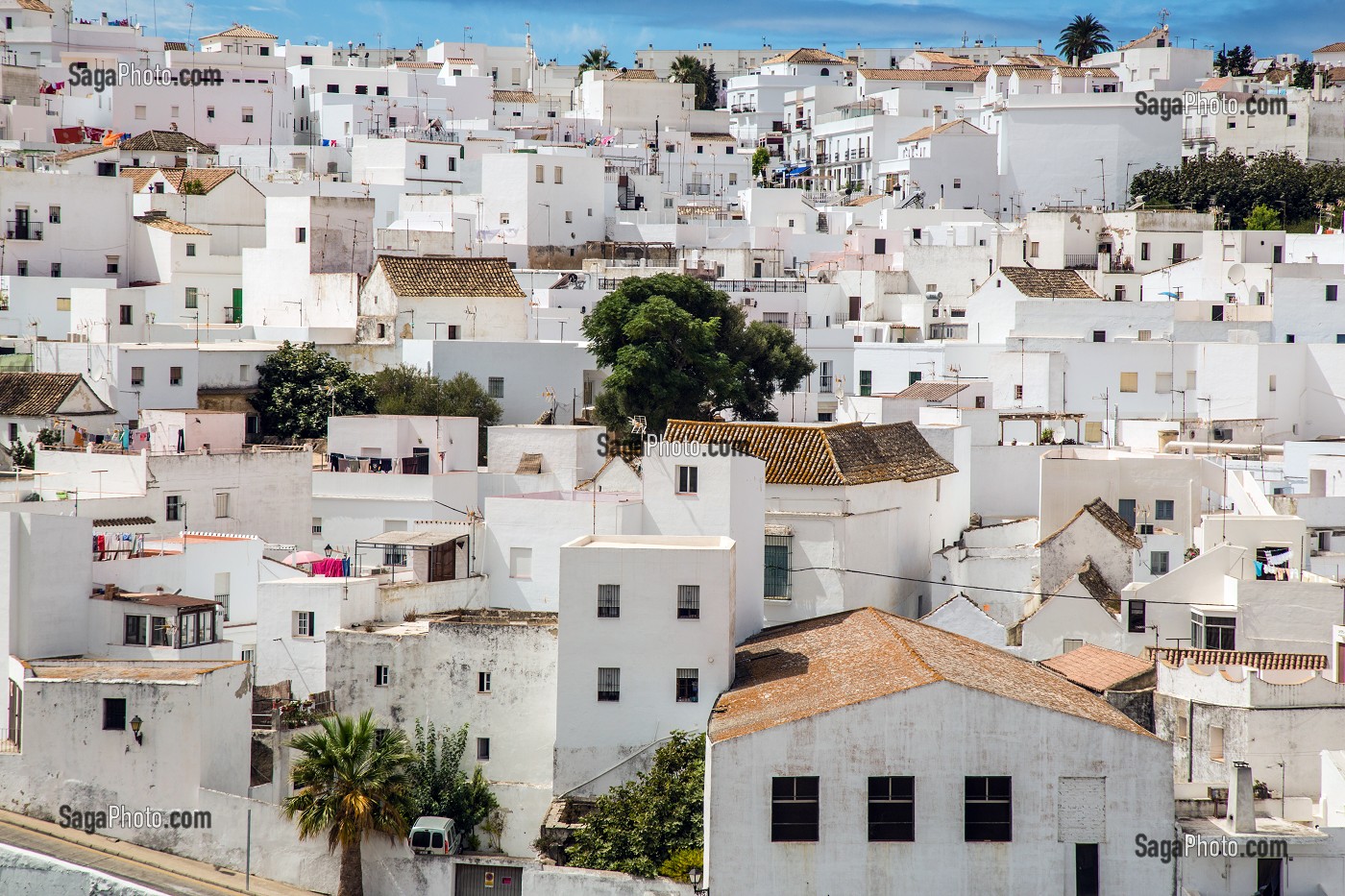 ILLUSTRATION ANDALOUSIE, COSTA DEL SOL, ESPAGNE SUD, EUROPE 