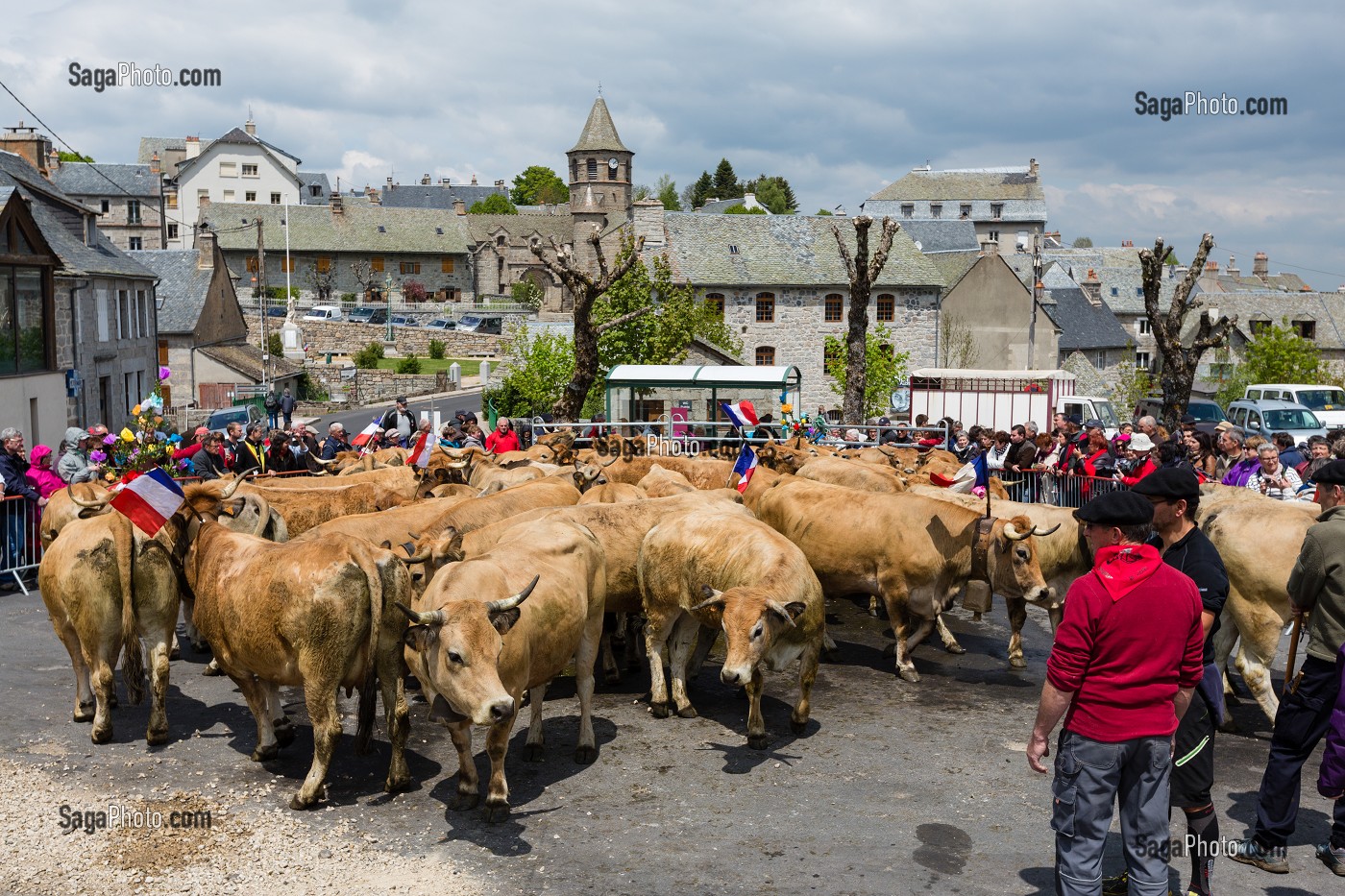 FETE DE LA TRANSHUMANCE, LOZERE (48), FRANCE 