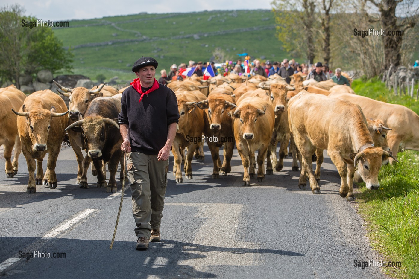 FETE DE LA TRANSHUMANCE, LOZERE (48), FRANCE 