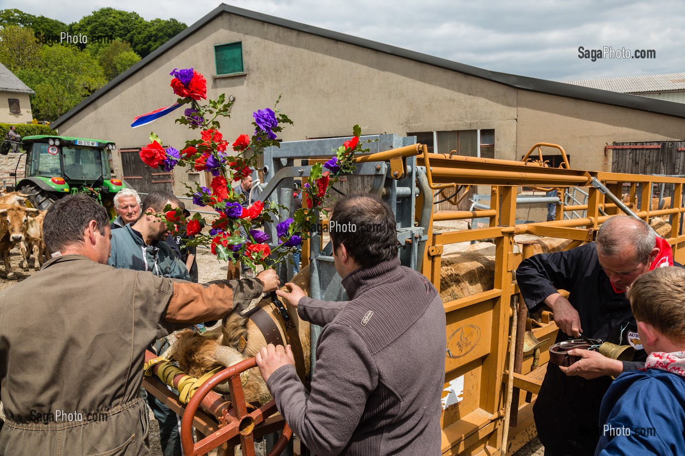 FETE DE LA TRANSHUMANCE, LOZERE (48), FRANCE 
