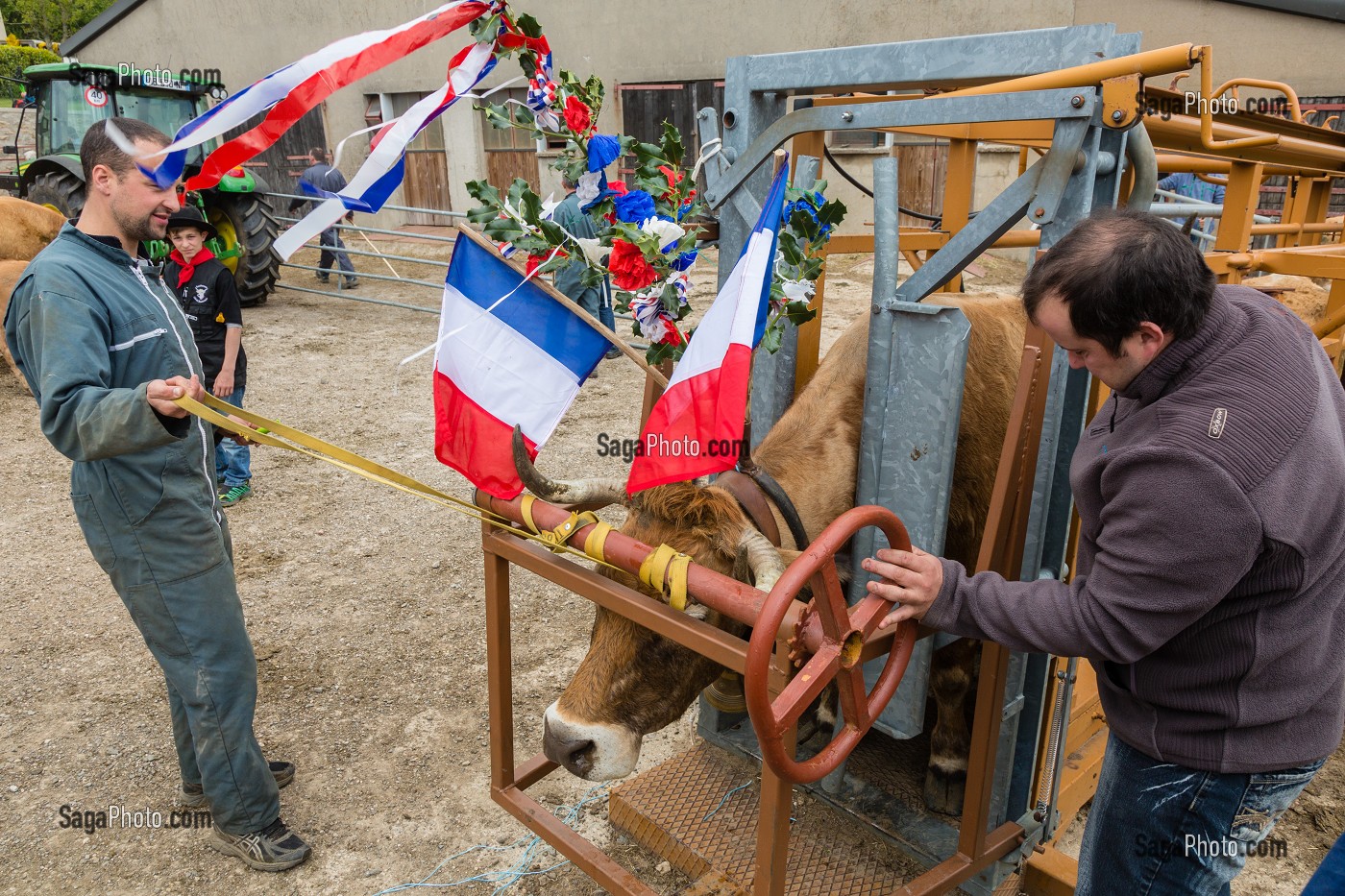 FETE DE LA TRANSHUMANCE, LOZERE (48), FRANCE 