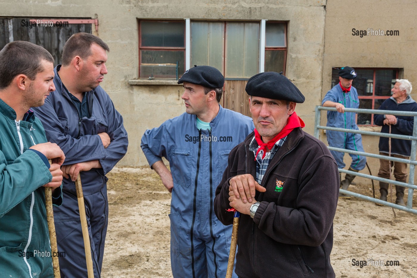 FETE DE LA TRANSHUMANCE, LOZERE (48), FRANCE 