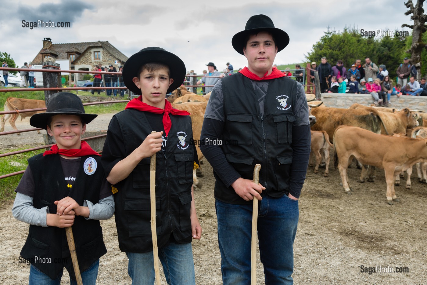 FETE DE LA TRANSHUMANCE, LOZERE (48), FRANCE 