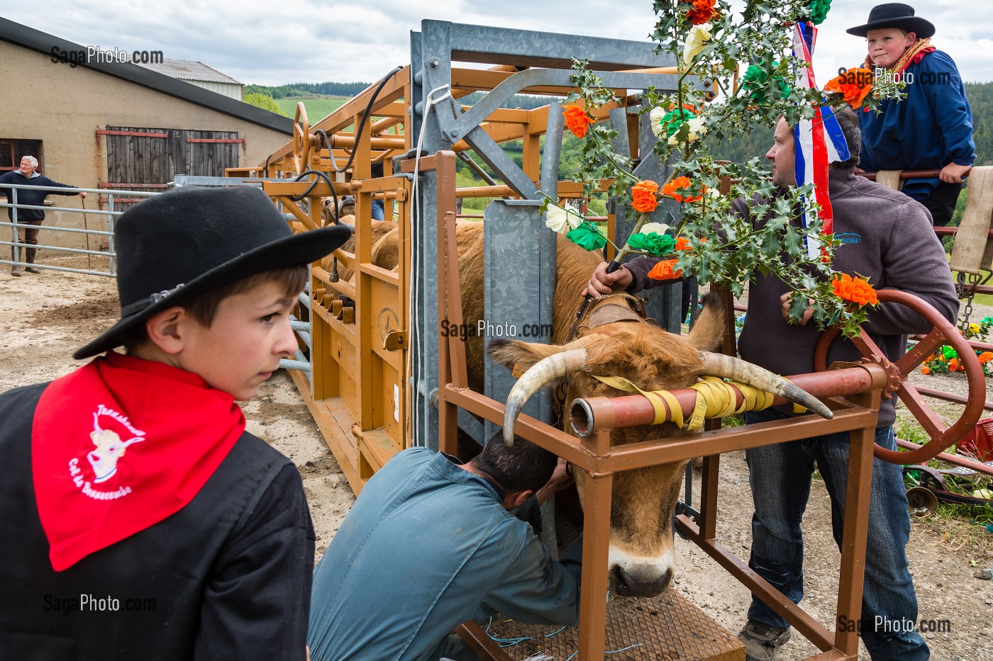 FETE DE LA TRANSHUMANCE, LOZERE (48), FRANCE 