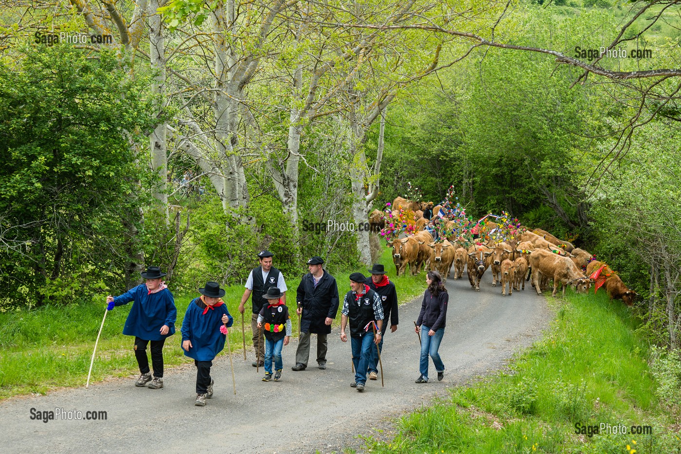 FETE DE LA TRANSHUMANCE, LOZERE (48), FRANCE 