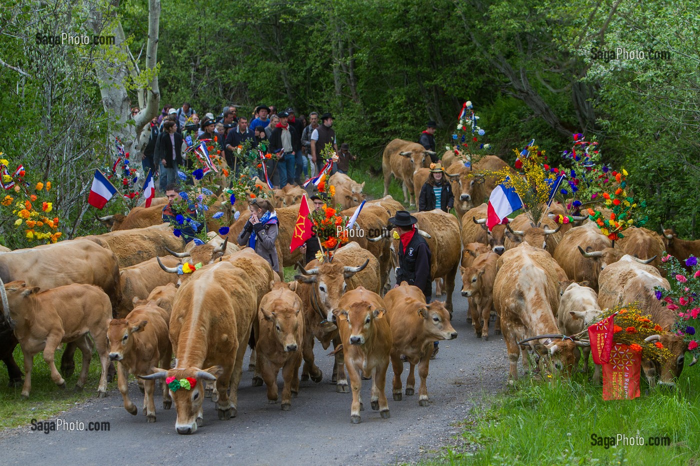 FETE DE LA TRANSHUMANCE, LOZERE (48), FRANCE 