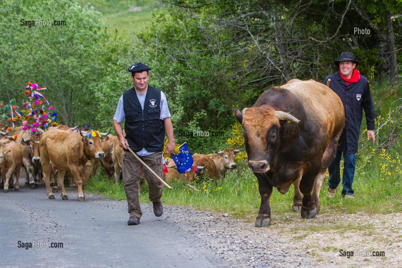 FETE DE LA TRANSHUMANCE, LOZERE (48), FRANCE 
