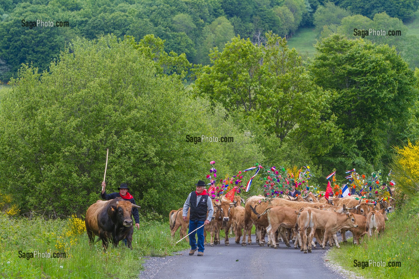 FETE DE LA TRANSHUMANCE, LOZERE (48), FRANCE 