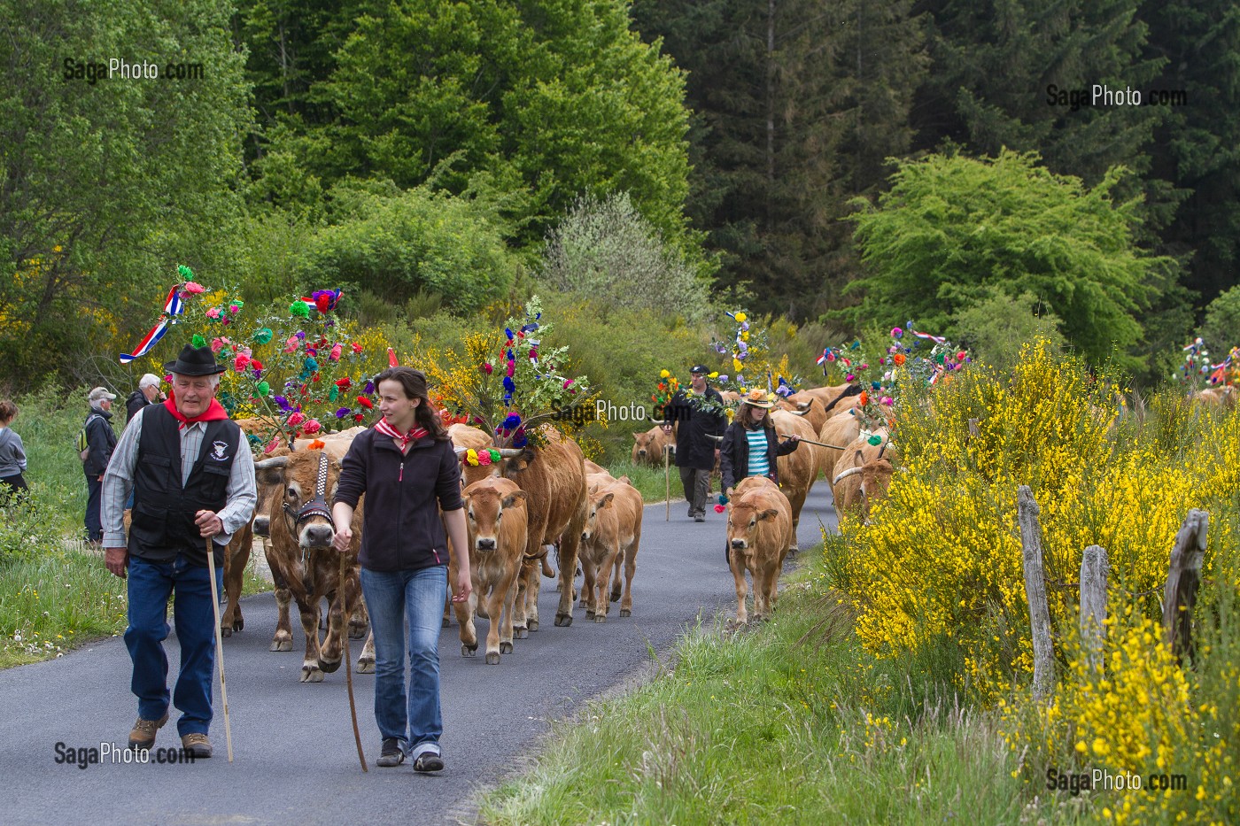 FETE DE LA TRANSHUMANCE, LOZERE (48), FRANCE 