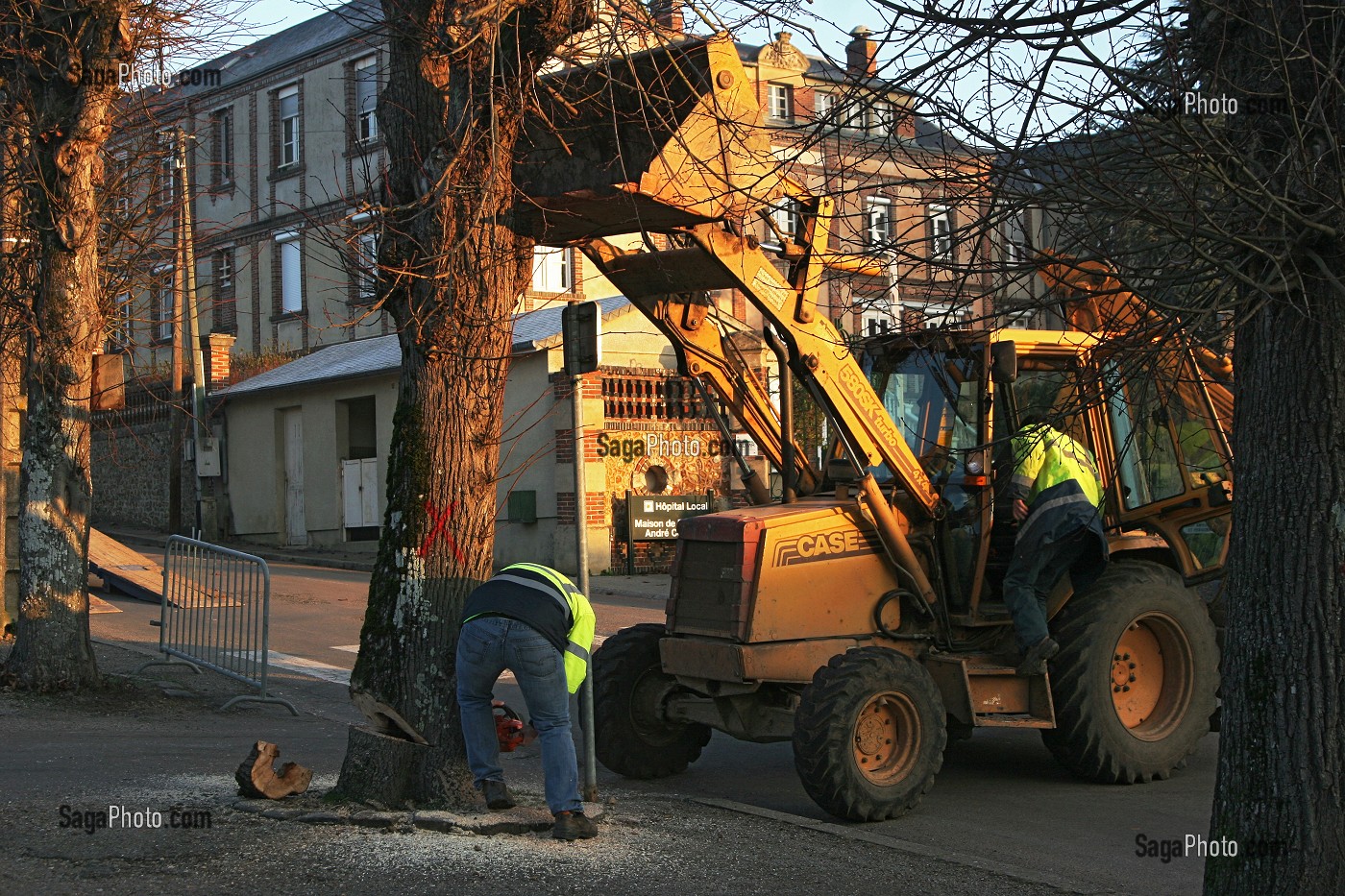 ABATTAGE D'UN ARBRE MALADE PAR LES SERVICES TECHNIQUES A L'AIDE D'UN TRACTOPELLE, RUGLES, EURE (27), HAUTE-NORMANDIE, FRANCE, EUROPE 