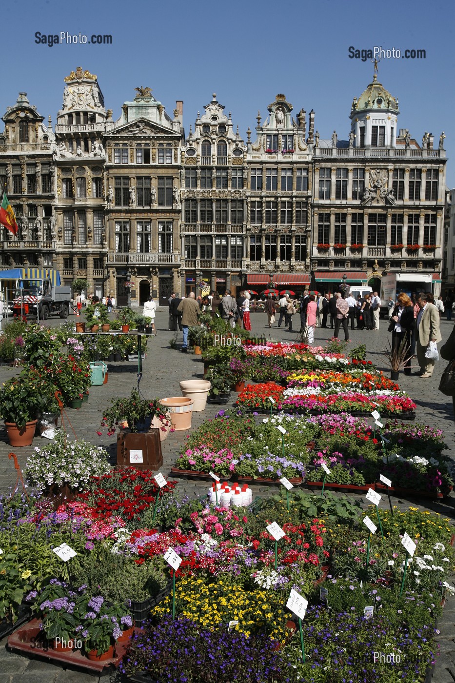 MARCHE AUX FLEURS, GRAND PLACE, BRUXELLES, BELGIQUE 
