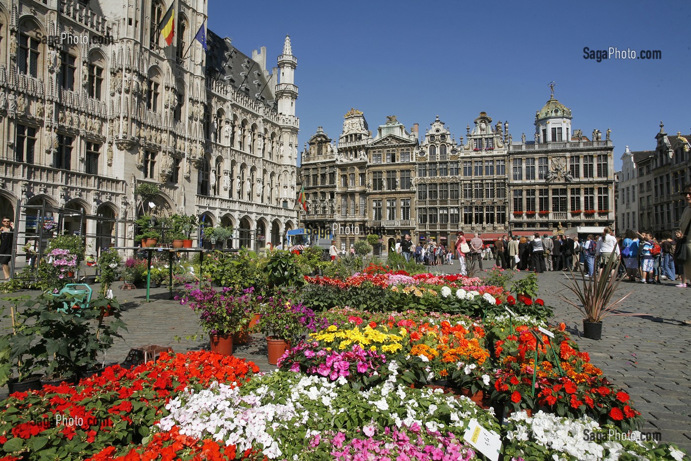 MARCHE AUX FLEURS, GRAND PLACE, BRUXELLES, BELGIQUE 