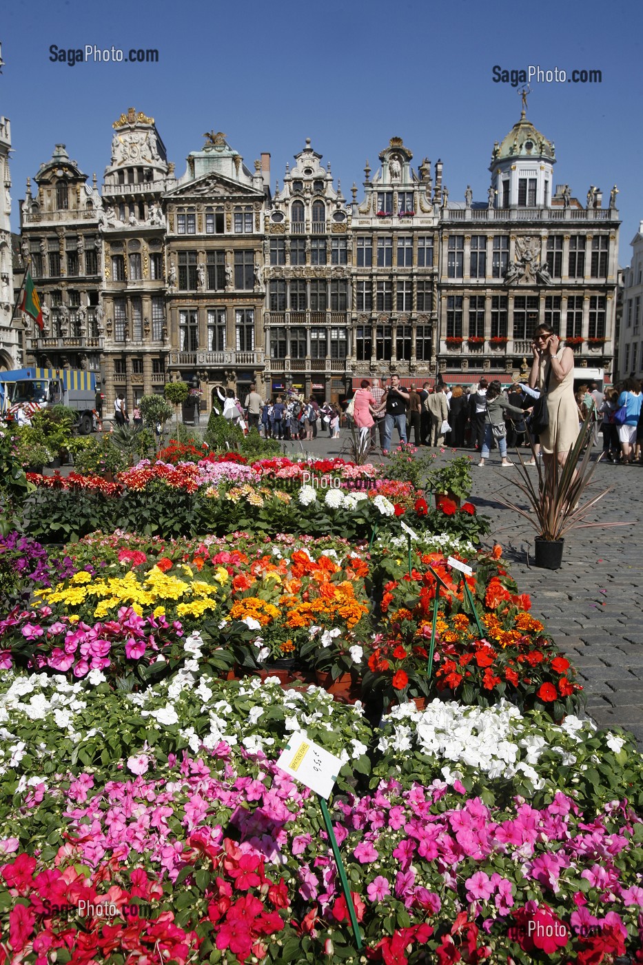 MARCHE AUX FLEURS, GRAND PLACE, BRUXELLES, BELGIQUE 