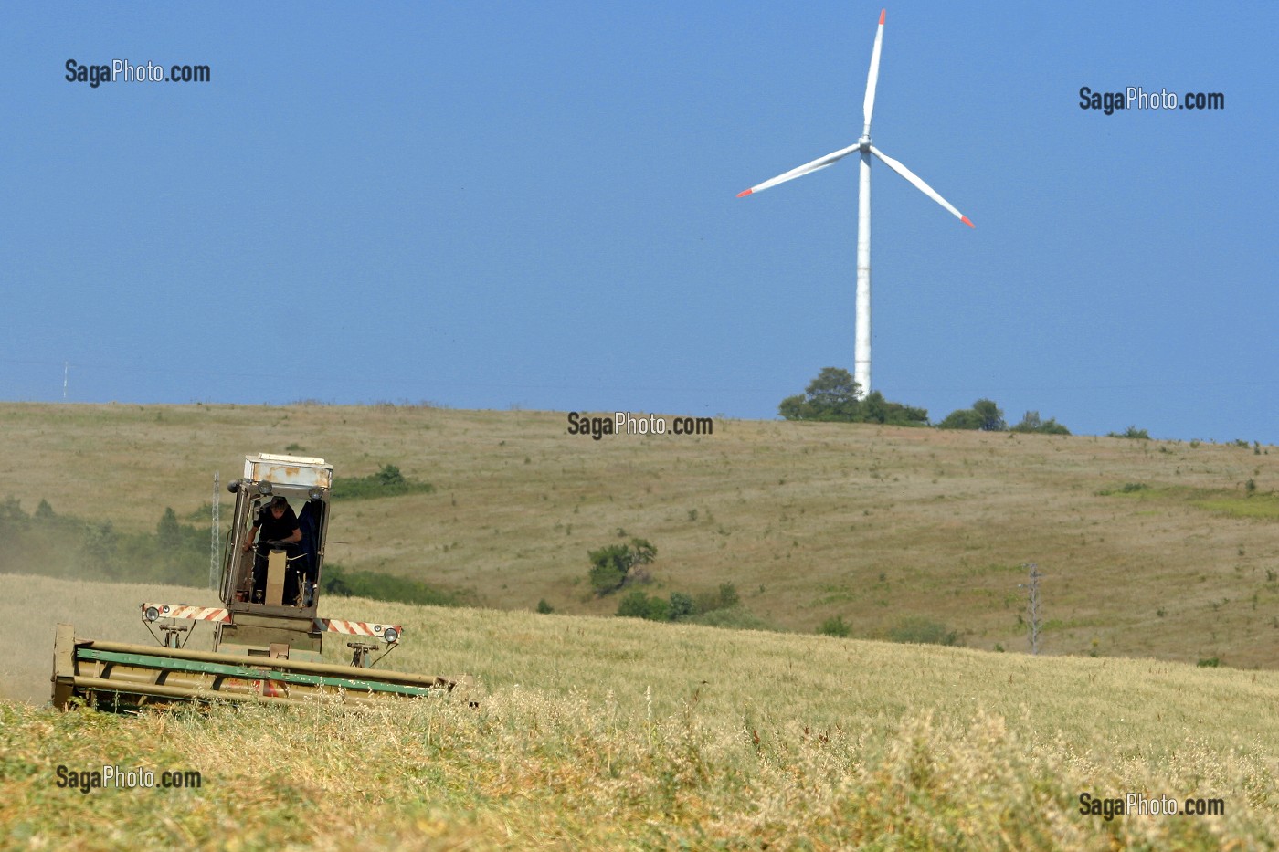 RECOLTE AVEC MOISSONNEUSE BATTEUSE, EOLIENNE EN ARRIERE PLAN, REGION D'ANTONOVO, BULGARIE, EUROPE 