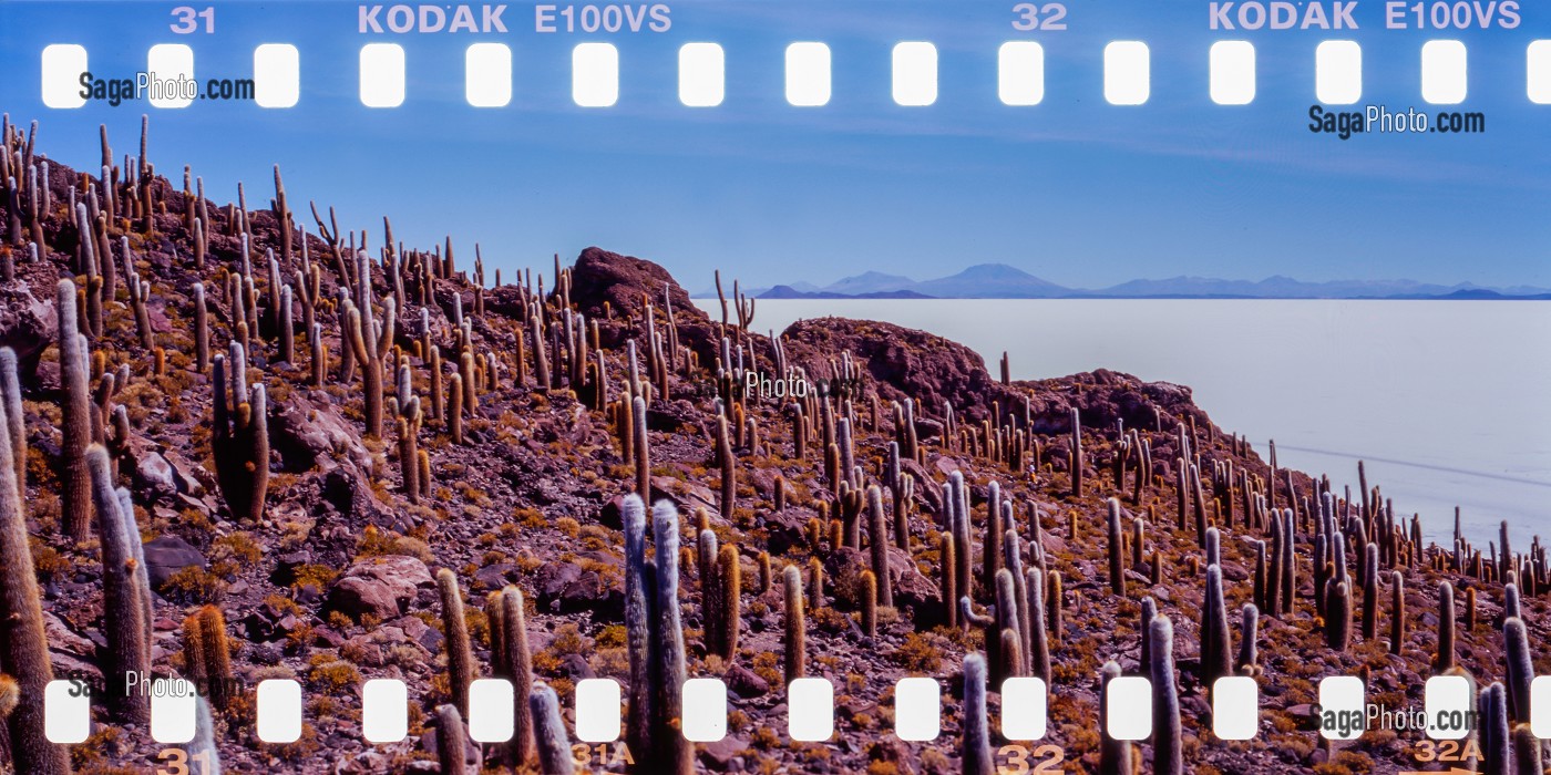 REGARD SUR LA BOLIVIE, CORDILLERE DES ANDES 