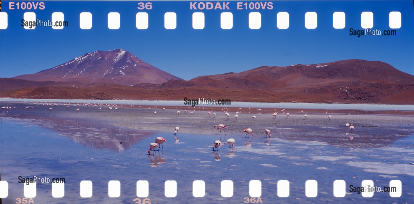 REGARD SUR LA BOLIVIE, CORDILLERE DES ANDES 