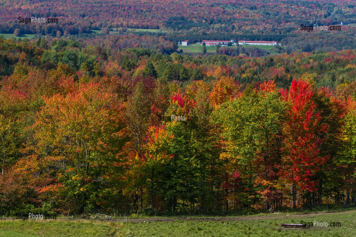 DECOUVERTE DU QUEBEC, CANADA 