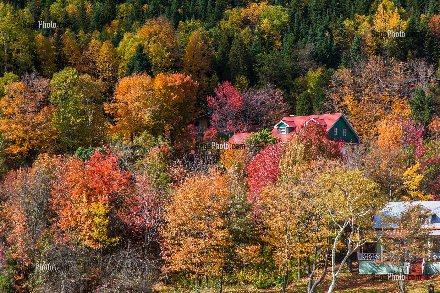DECOUVERTE DU QUEBEC, CANADA 