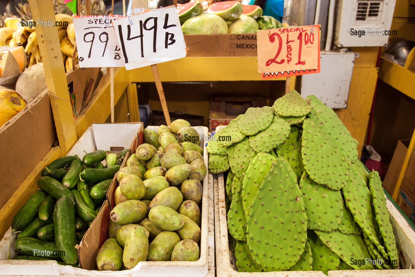 ILLUSTRATION LOS ANGELES, USA 