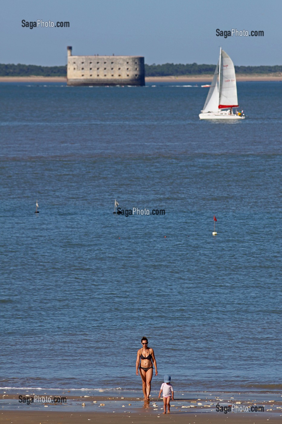 ILLUSTRATION ILE D'AIX, CHARENTE-MARITIME, FRANCE 