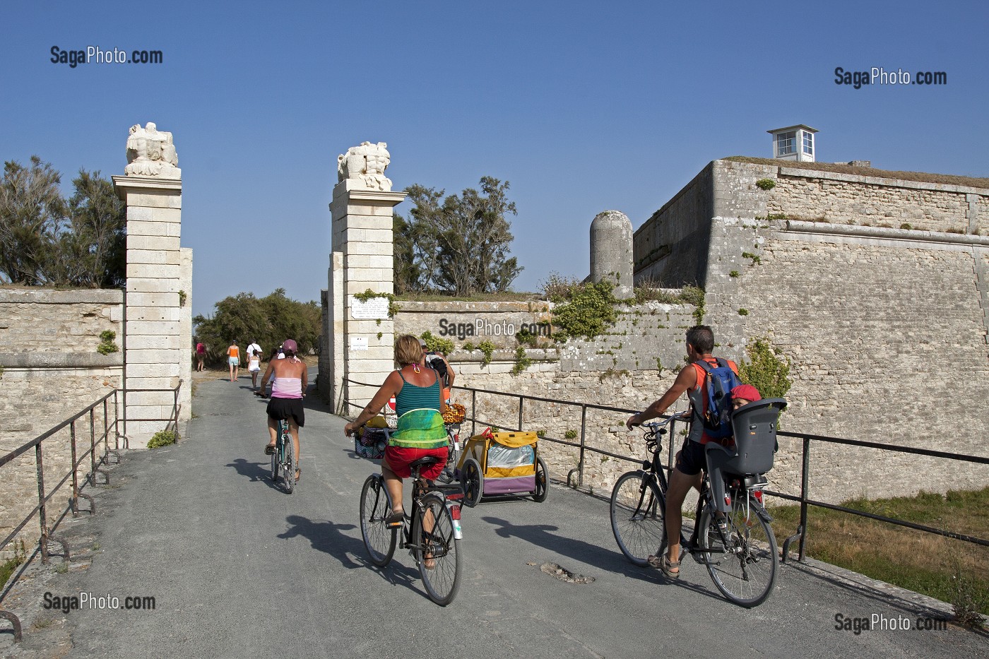 ILLUSTRATION ILE-DE-RE, CHARENTE-MARITIME, FRANCE 