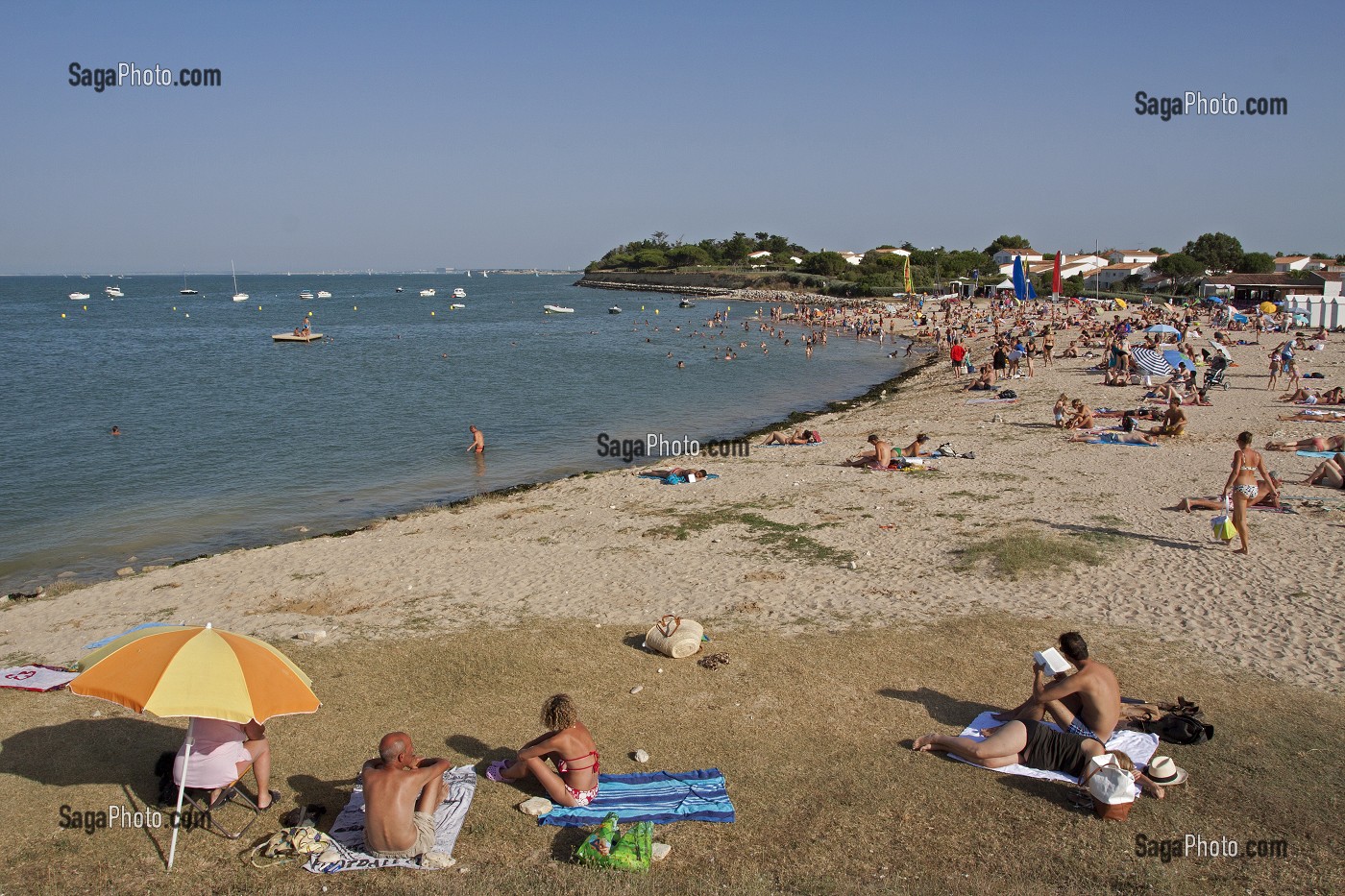 ILLUSTRATION ILE-DE-RE, CHARENTE-MARITIME, FRANCE 