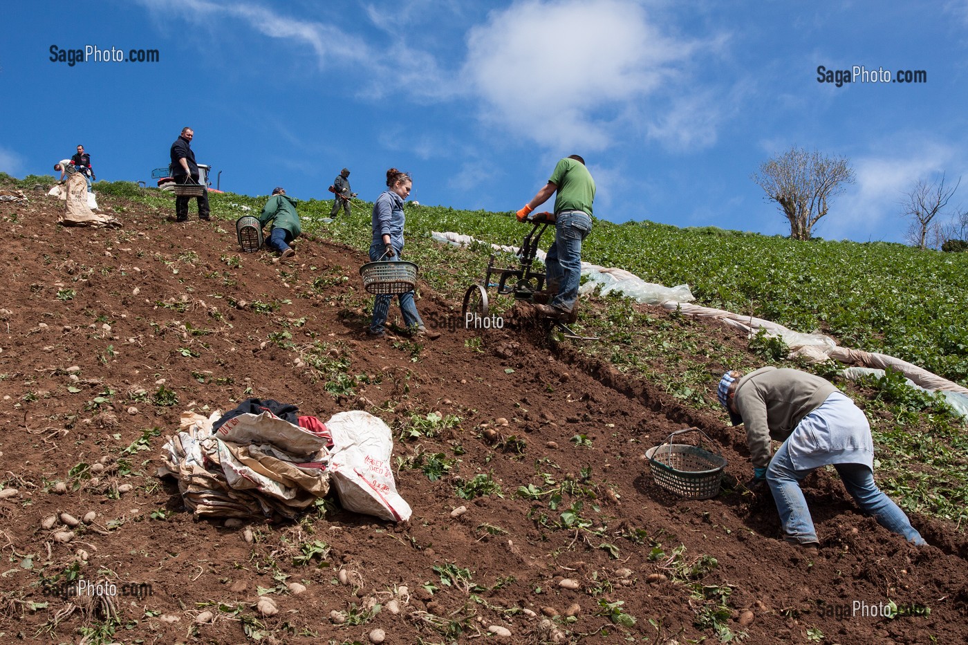 ILE DE JERSEY, ILES ANGLO-NORMANDES 