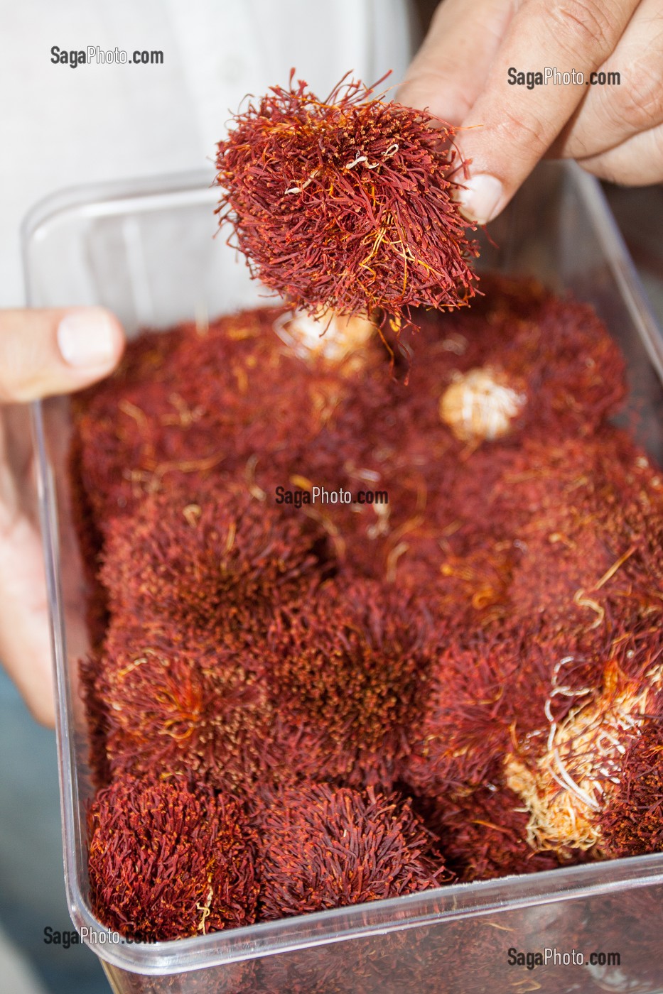 ILLUSTRATION DUBAI, EMIRATS ARABES UNIS, MOYEN-ORIENT 