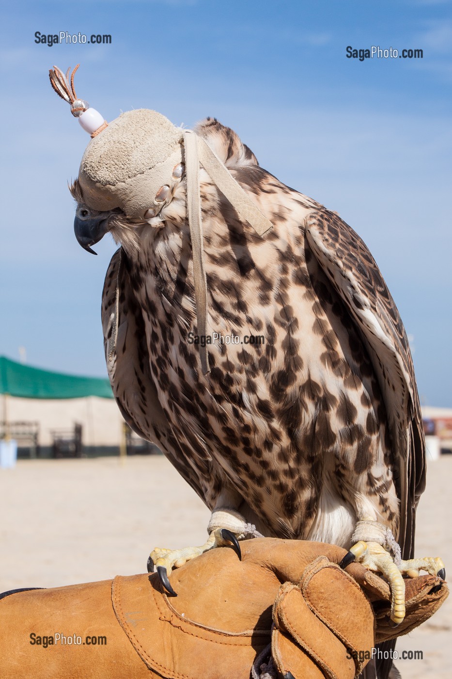 ILLUSTRATION QATAR, GOLFE PERSIQUE, MOYEN-ORIENT 