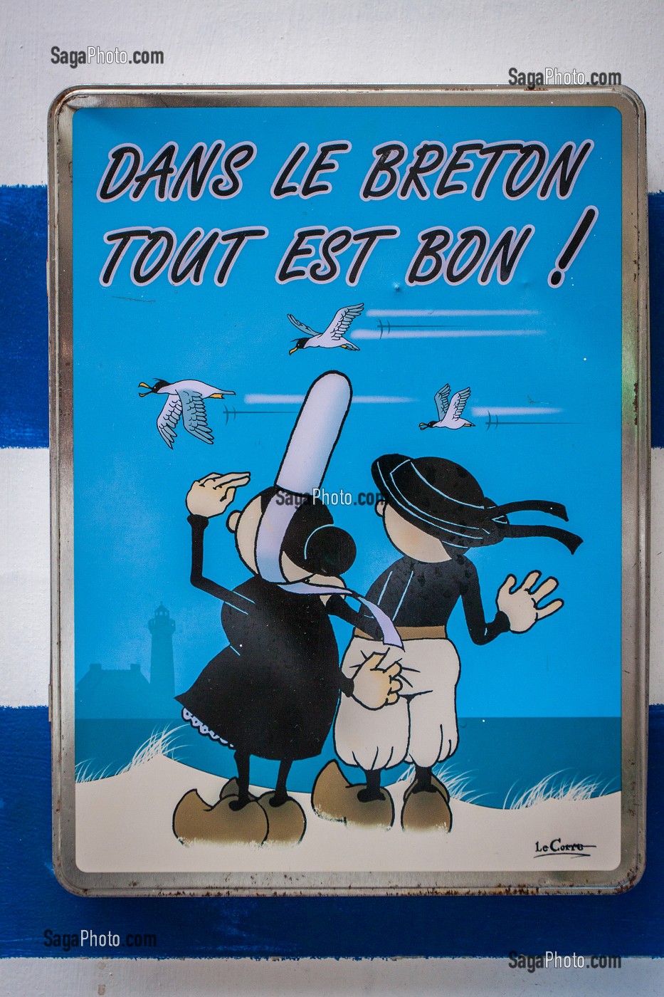ILLUSTRATION BRETAGNE, (35) ILLE ET VILAINE, FRANCE 