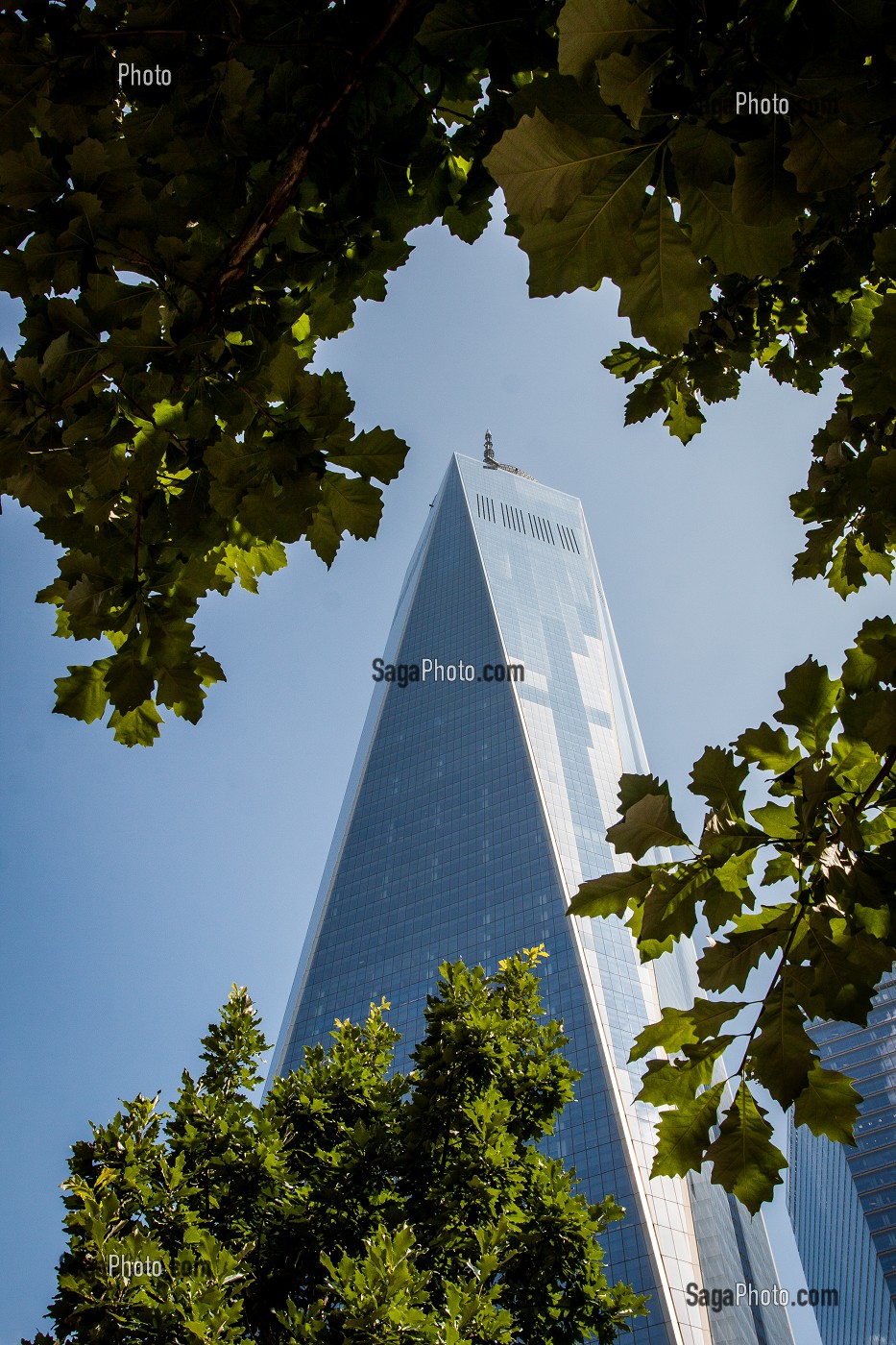 NEW YORK CITY, ETATS-UNIS, AMERIQUE DU NORD, USA 