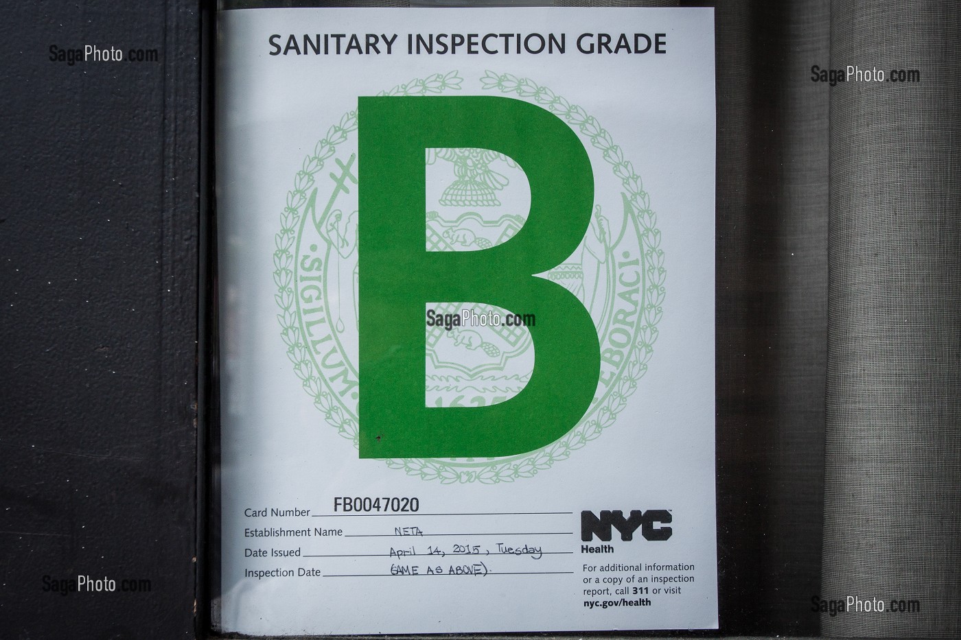 NEW YORK CITY, ETATS-UNIS, AMERIQUE DU NORD, USA 