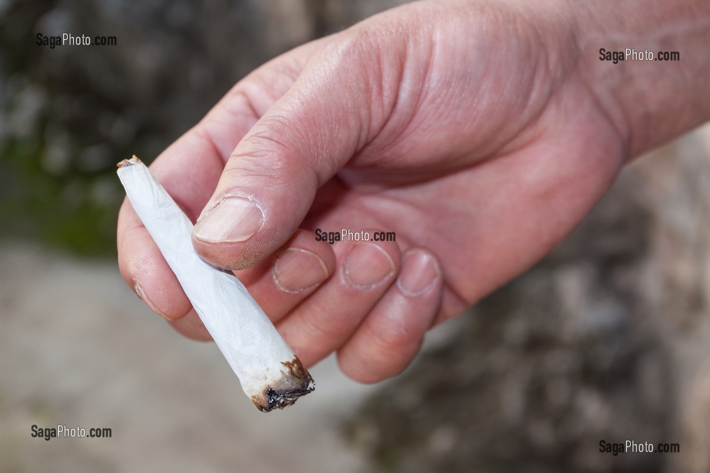 PRODUCTION DE MARIJUANA, JAMAIQUE, CARAIBES 