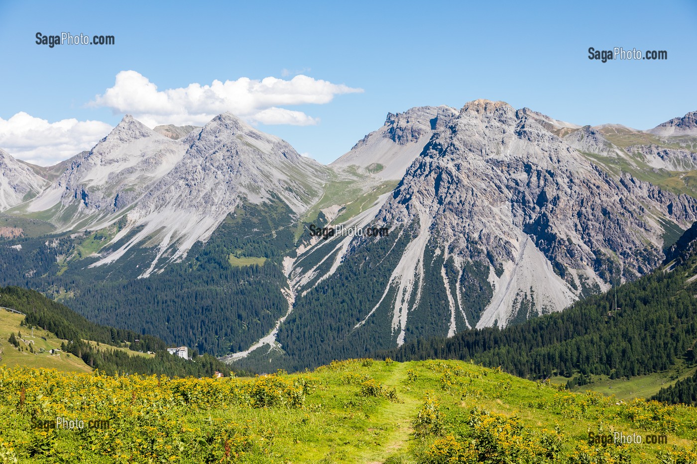 VUE SUR LA VALLEE D'AROSA DEPUIS LE WEISSHORN, NATURE, ALPES SUISSE, STATION D'AROSA, AROSA, CANTON DES GRISONS, SUISSE 