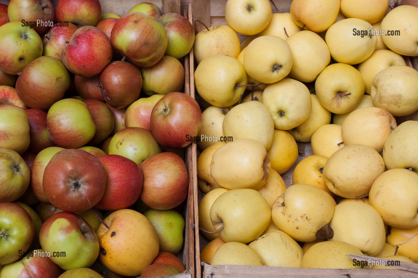 MARCHE DE VIC-EN-BIGORRE, HAUTES-PYRENEES, FRANCE 