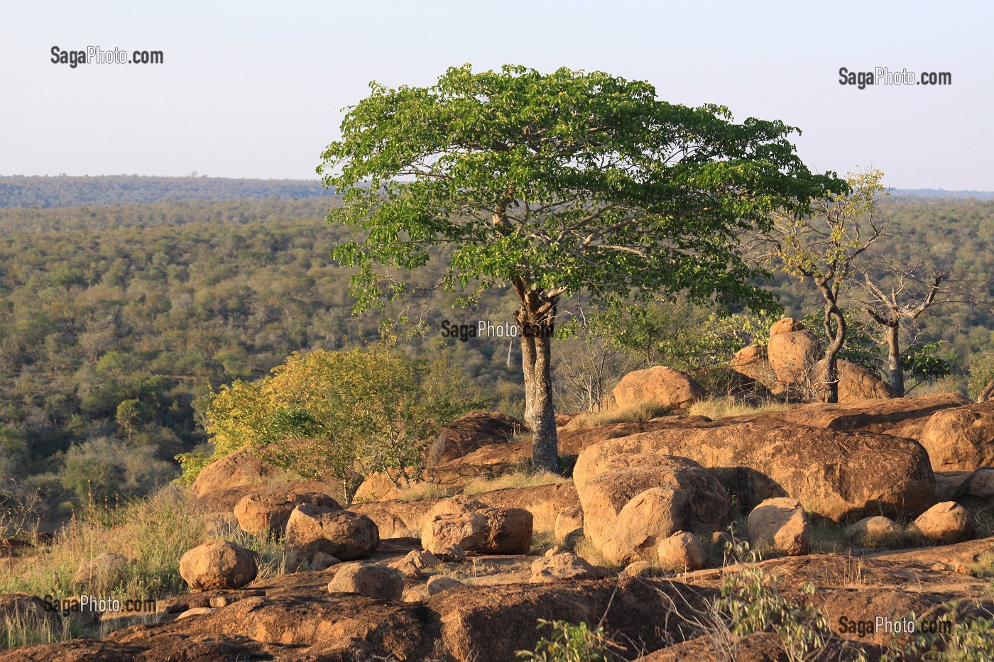 VUE SUR LA SAVANE ET LE TERRITOIRE DE LA RESERVE PRIVEE DE SINGITA LEBOMBO, RELAIS ET CHATEAUX, PARC NATIONAL DU KRUGER, AFRIQUE DU SUD 