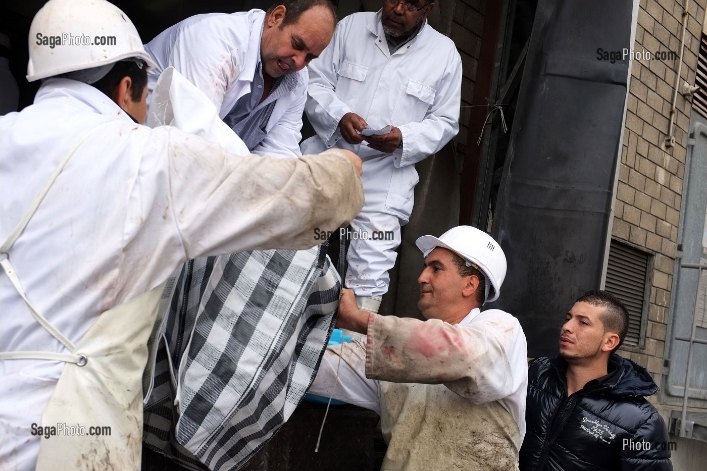 ABATTOIR, AID EL KEBIR 