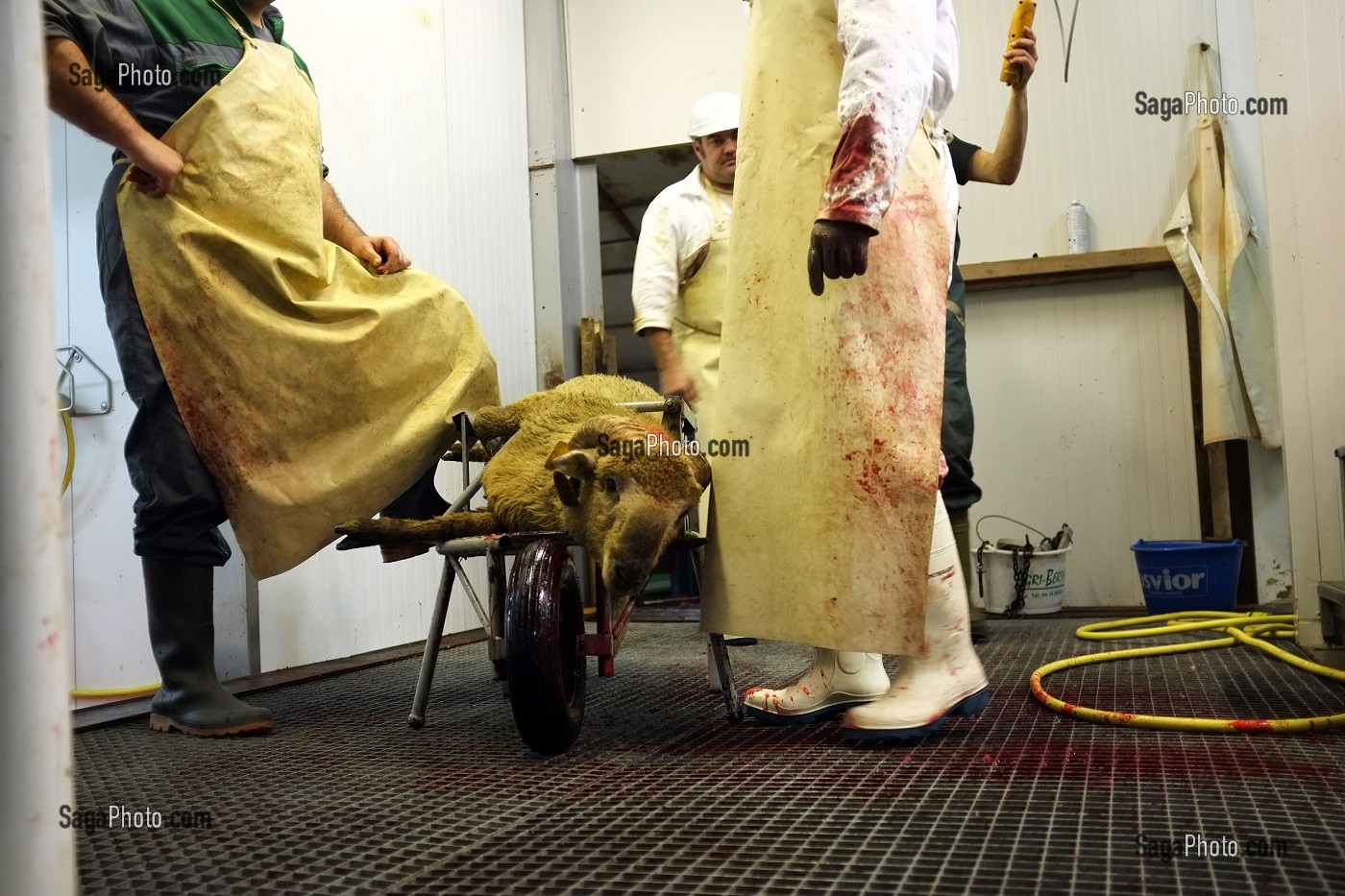 ABATTOIR, AID EL KEBIR 