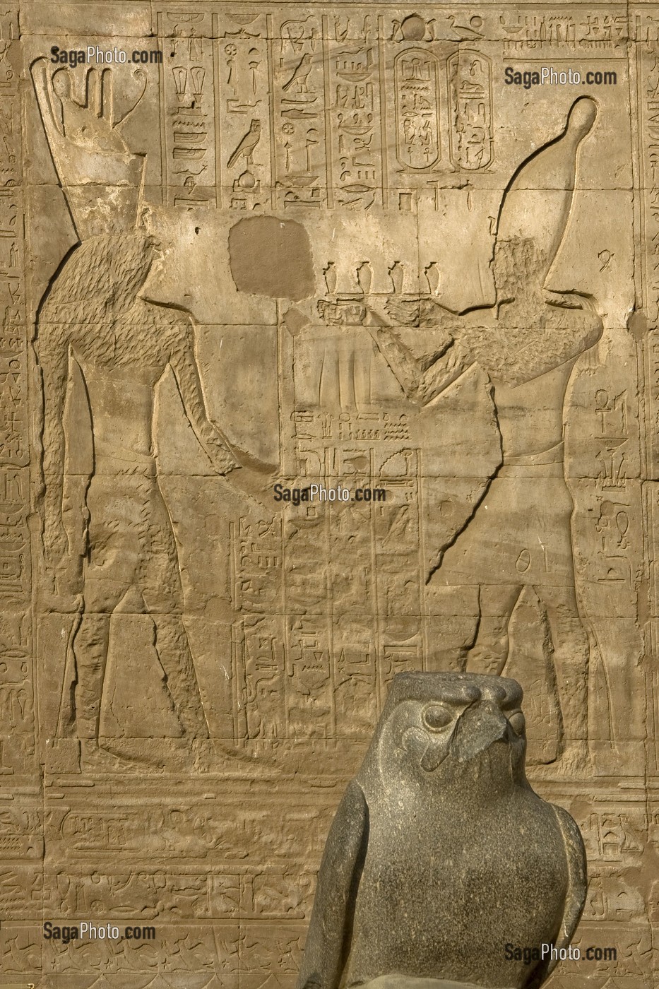 STATUE DE FAUCON DU HORUS, TEMPLE D'EDFOU, CE TEMPLE EST LE MIEUX CONSERVE DE TOUTE L’EGYPTE ANTIQUE, TEMPLE DEDIE AU DIEU FAUCON HORUS, LE TEMPLE FUT DEGAGE SOUS LA DIRECTION D’AUGUSTE MARIETTE A PARTIR DE 1859, EDFOU, EGYPTE, AFRIQUE 