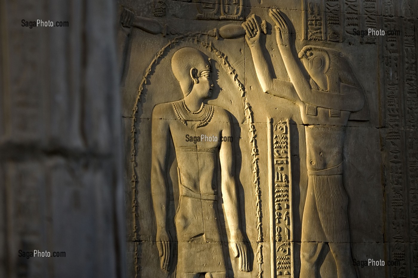 PHARAON PTOLEMEE XII ET LE DIEU FAUCON HORUS, TEMPLE DE KOM OMBO DEDIE A DEUX DIVINITES, LE DIEU FAUCON HORUS (OU HAROERIS) ET LE DIEU CROCODILE SOBEK, KOM OMBO, EGYPTE, AFRIQUE 