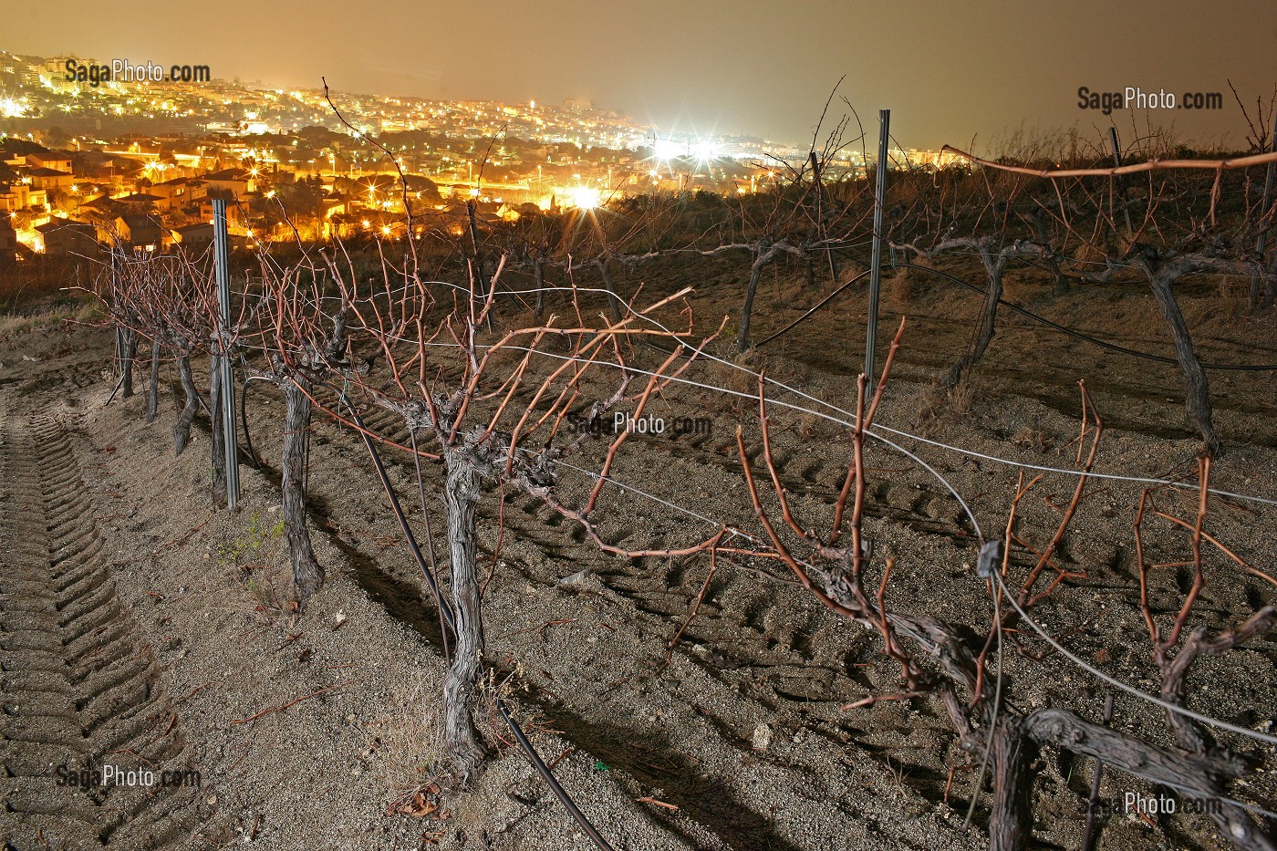 VIGNOBLE DES ENVIRONS DE BARCELONE, ESPAGNE. LA VILLE GRIGNOTE DE PLUS EN PLUS SUR LES TERRES, ESPAGNE, EUROPE 