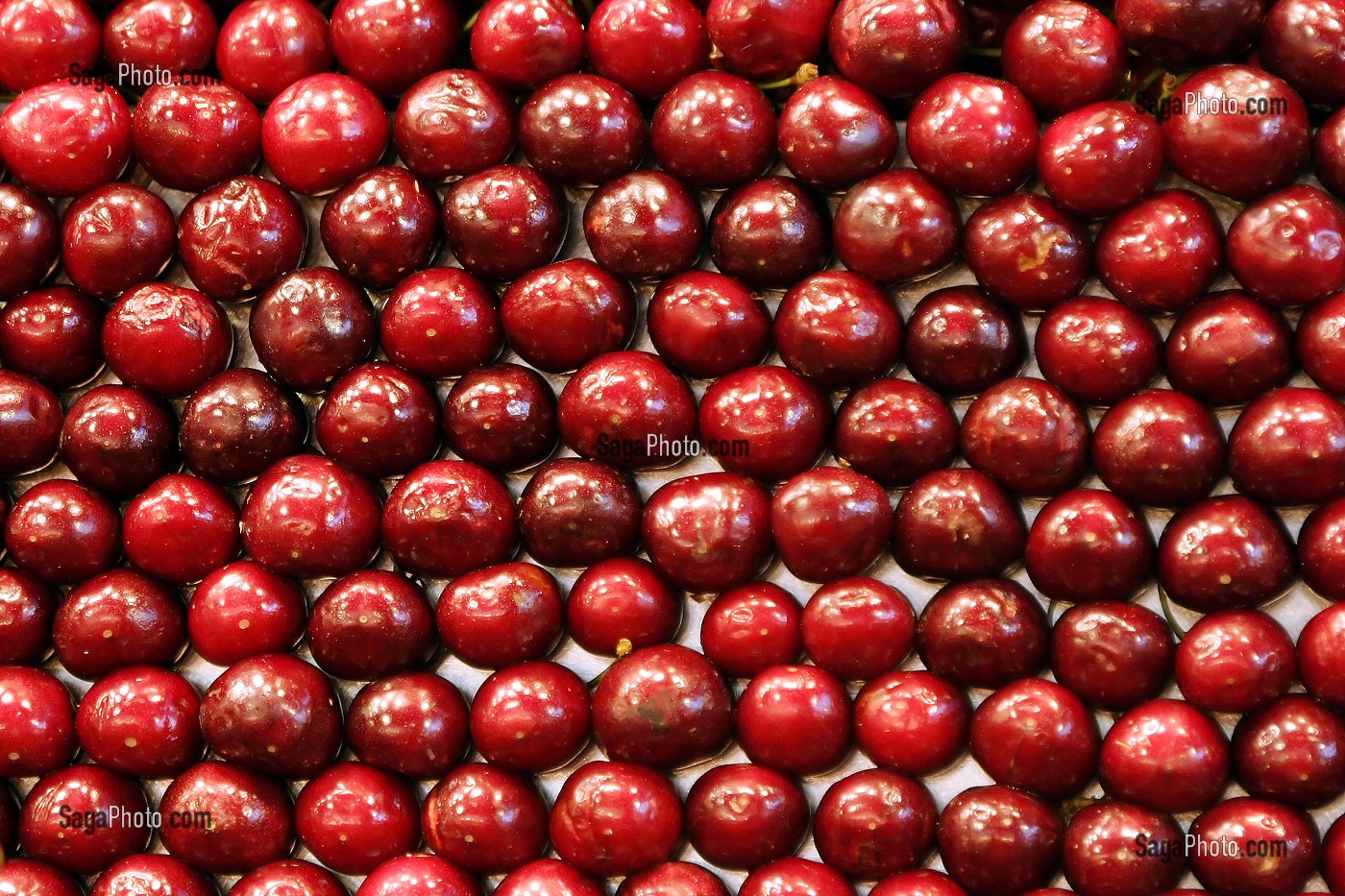 ETAL DE CERISES AU MARCHE 'LA BOQUERIA', TEMPLE CULINAIRE DEVENU UN DES PLUS GRAND MARCHE D'EUROPE, QUARTIER 'EL RAVAL', BARCELONA 
