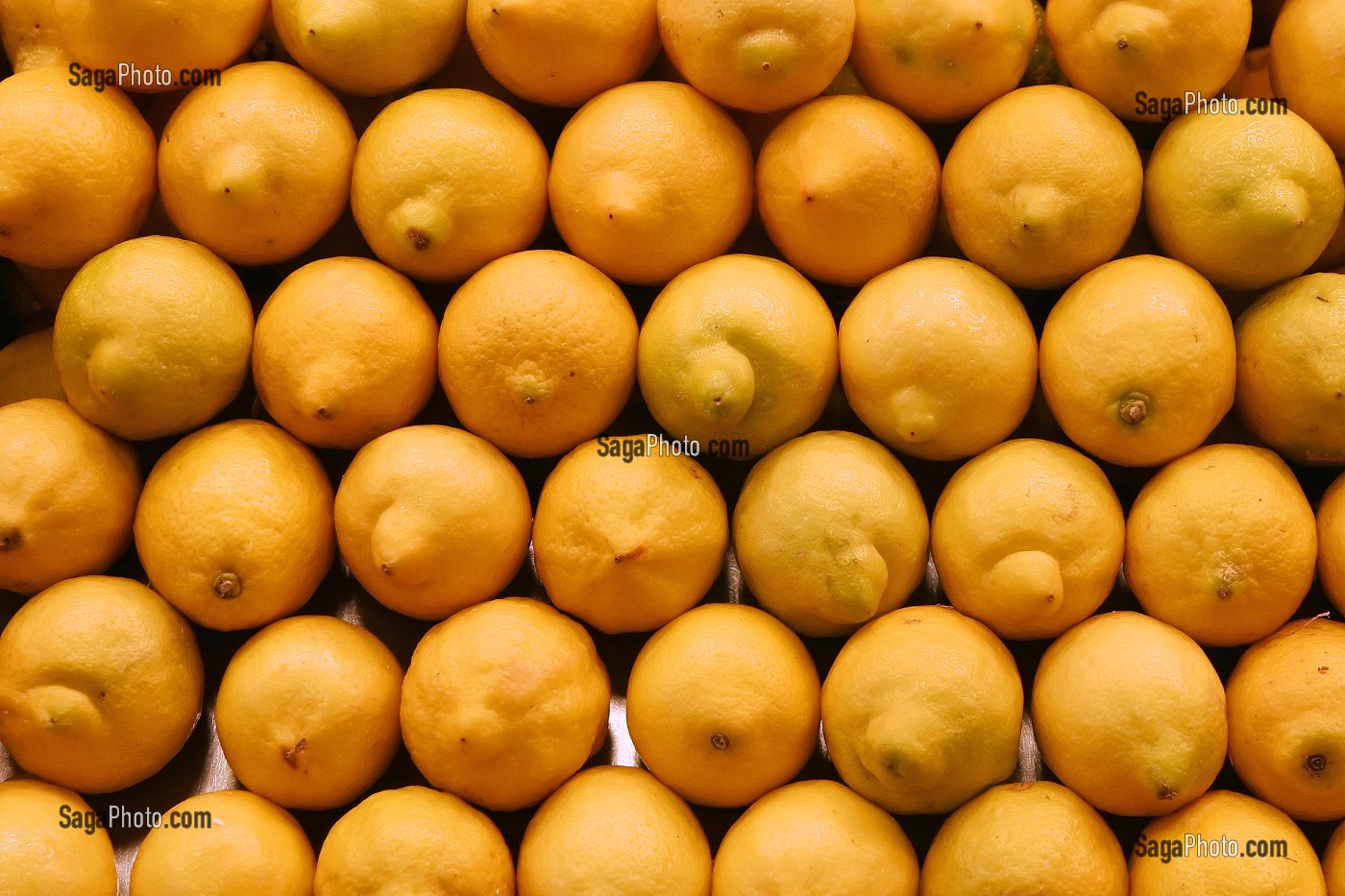 ETAL DE CITRONS JAUNES AU MARCHE 'LA BOQUERIA', TEMPLE CULINAIRE DEVENU UN DES PLUS GRAND MARCHE D'EUROPE, QUARTIER 'EL RAVAL', BARCELONA 