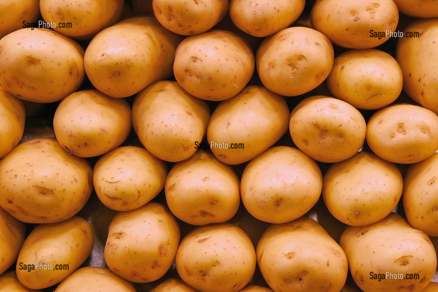 ETAL DE POMMES DE TERRE AU MARCHE 'LA BOQUERIA', TEMPLE CULINAIRE DEVENU UN DES PLUS GRAND MARCHE D'EUROPE, QUARTIER 'EL RAVAL', BARCELONA 
